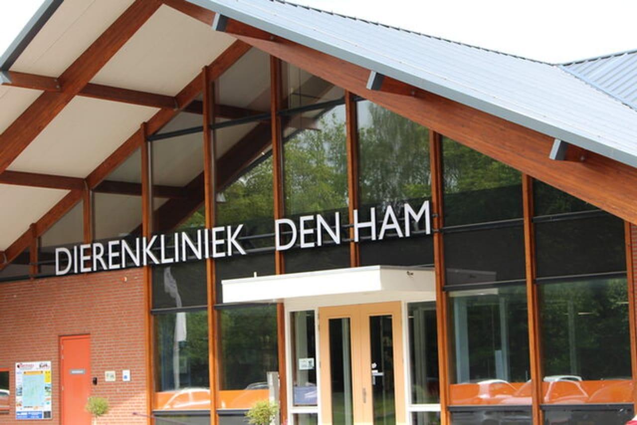 Dierenkliniek Den Ham, een gerealiseerd Energie Intern-project